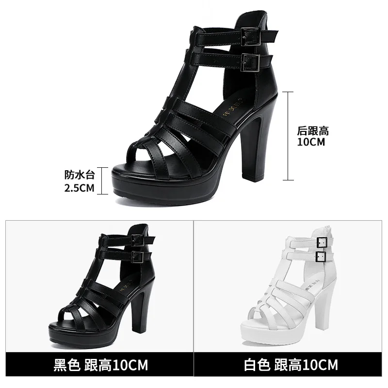 Gladiatore Scarpe da donna per - Gladiator Sandal Women recensione e prezzo